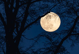 grusskarte appenzellerland