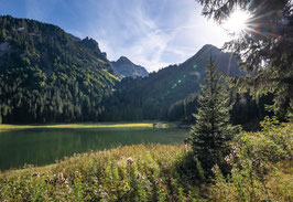 grusskarte voralpsee