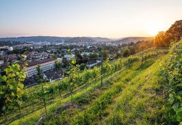 grusskarte goldenberg · winterthur