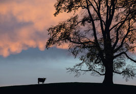 grusskarte speicher · appenzellerland
