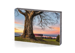 holzbild bodensee abendstimmung auf dem kaienspitz