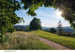 postkarte sankt gallen lindeli