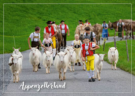 Postkarte Appenzellerland