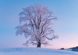 minikarte appenzellerland