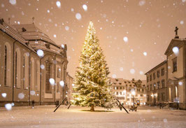 grusskarte christbaum · st. gallen