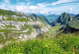 grusskarte alpstein