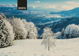 postkarte rheintal