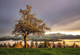 grusskarte appenzellerland