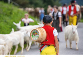 postkarte appenzellerland «gässbueb»