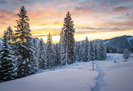 grusskarte schwägalp