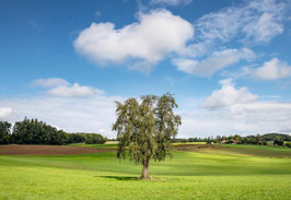 grusskarte thurgau · thundorf