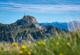 grusskarte hoher Kasten