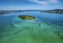 grusskarte zürichsee