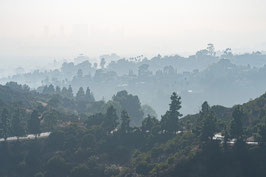 City Of Angels