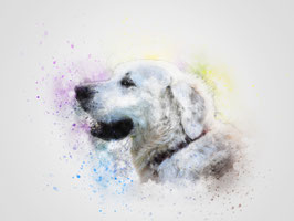 WATER-COLOR