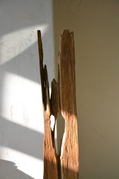Organic driftwood sculpture