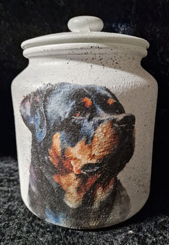 Topf Rottweiler