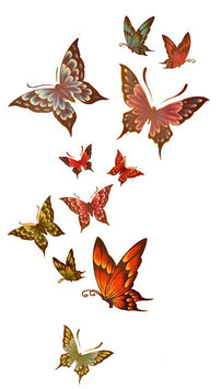"Schmetterlinge" Abziehbilder Tattoo für Körper & Deko