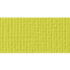 American Craft's Cardstock #69 Limeade