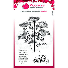 Woodware Clear Stamp - Queen Annes lace JGS753