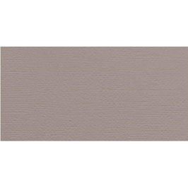 American Craft's Cardstock #101 Nickel