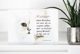 Shabby Chic Schild -"Katze 2"