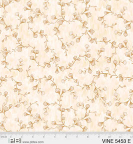 5453 E VINEYARD TRASERA HOJAS FONDO CREMA