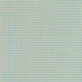 14300D1-2 CRAWFORD GINGHAM MINI VICHY AZUL