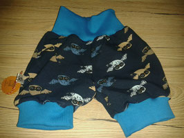 Shorts Eule