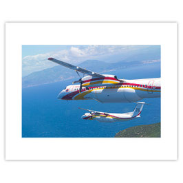 Dash 8 en patrouille