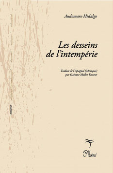 Les desseins de l'intempérie, Audomaro Hidalgo Collection Traverses