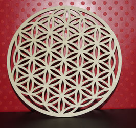 Flower of Life