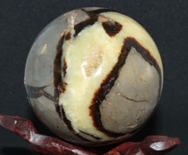 Septaria bol
