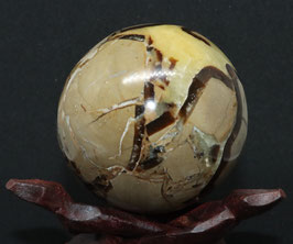 Septaria bol