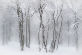 Winter auf dem großen Feldberg im Taunus