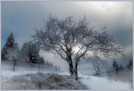 Winter im Taunus, am kleinen Feldberg (ohne graue Umrandung)