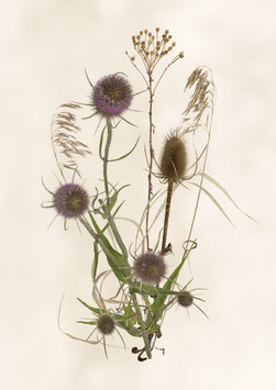 Motiv/Subject  23:052:026:v2:BW:A3+ - Sommer/Herbst-Potpourri - 1
