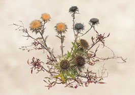 Motiv/Subject  22:052:019:v1:BW:DF - Sommer/Herbst-Potpourri - 2
