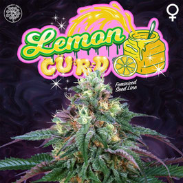 Perfect Tree Seeds - Lemon Curd