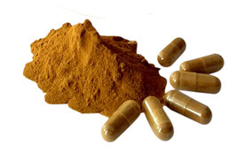 Propolis & Carob Pulver Extrakt naturrein mit Carob als Trennmittel