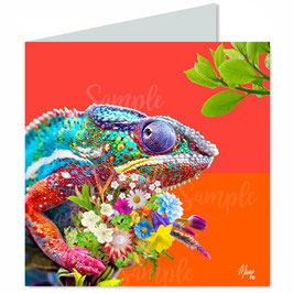 ArtCard Set OCCASIONATA