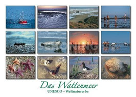 SH - Wattenmeer Nationalpark (UNESCO) - 0309