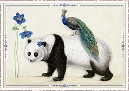 PK - 1000 Best Buddies - Panda und Pfau