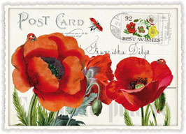 PK - 667 Mohn