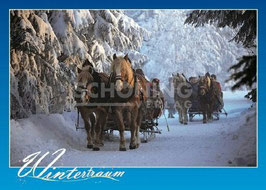 SH - Wintertraum - 0165