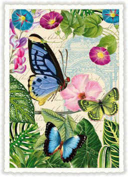 PK - 783 Schmetterlinge