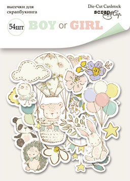 PSB-64 Die cut Boy or Girl