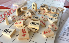 Shogi-Set Lernhilfen mit Pfeilen