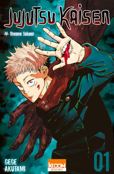 Jujutsu Kaisen (T1) - G. AKUTAMI