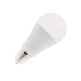 A60 E27 12W LED žarnica